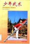 少年武术 封面