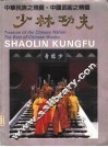 少林功夫 封面