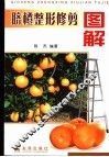 脐橙整形修剪图解 封面
