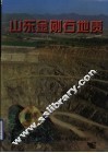 山东金刚石地质 封面