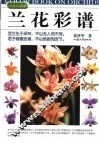 兰花彩谱 封面