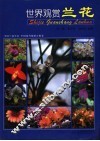 世界观赏兰花 封面