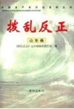 拨乱反正  山东卷 封面