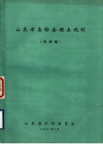 山东半岛综合国土规划  待审稿 封面