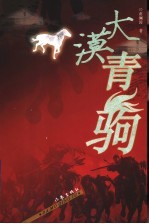 大漠青驹 封面