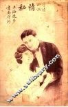 言情小说  情秘 封面