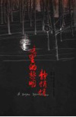 这里的黎明静悄悄 封面