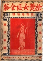 枪毙女匪金狐 封面