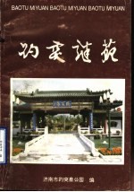 趵突谜苑  2  第二届“趵突之春全国灯谜展猜”专辑 封面