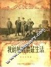 我的集体农壮生活 封面