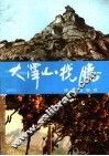 大泽山揽胜 封面