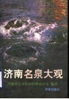 济南名泉大观 封面