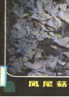 凤尾菇 封面