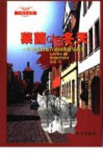 莱茵de冬天 一个18岁男孩在德国的留学故事 封面