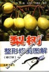 梨树整形修剪图解  修订版 封面