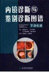 内镜诊断与鉴别诊断图谱  下消化道 封面