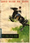 少年马倌 封面