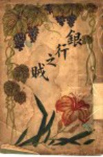 银行之贼  第3版 封面