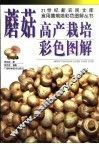 蘑菇高产栽培彩色图解 封面