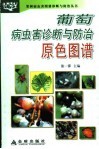葡萄病虫害诊断与防治原色图谱 封面