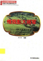 惟我彭大将军  《保卫延安》导读 封面