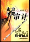 企业风险审计 封面