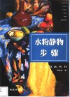 水粉静物步骤 封面