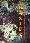 腾冲火山研究 封面