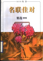 名联佳对精选999 封面
