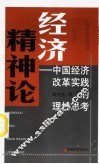 经济精神论  中国经济改革实践的理性思考 封面