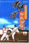实用散手道教程  2  散手道脚踢阐秘 封面