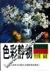 高考绿色通道名师名作范例  色彩静物 封面