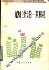 献给时代的一束鲜花 封面