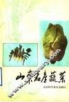 山东名产蔬菜 封面