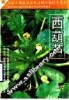西葫芦 封面