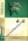水稻 封面