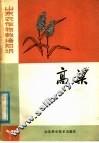 高粱 封面