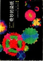 奇妙的染纸 封面