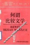 何谓比较文学 封面