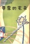 带露的花朵 封面