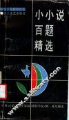 小小说百题精选 封面