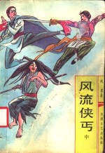 风流侠丐  中 封面
