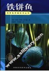 铁饼鱼 封面