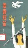 青春短笛 封面