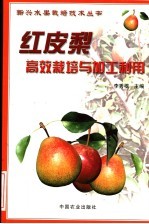 红皮梨高效栽培与加工利用 封面