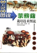 茶薪菇栽培技术图说 封面