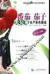 番茄  茄子无公害生产彩色图说 封面