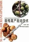 酸梅高产栽培技术 封面