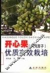 开心果  阿月浑子  优质高效栽培 封面
