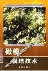 橄榄栽培技术 封面